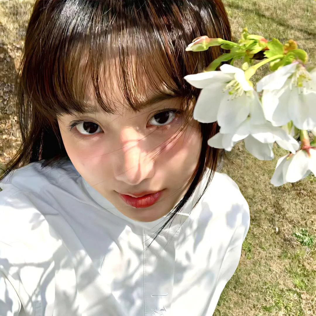 镖行天下前传之四百里加急